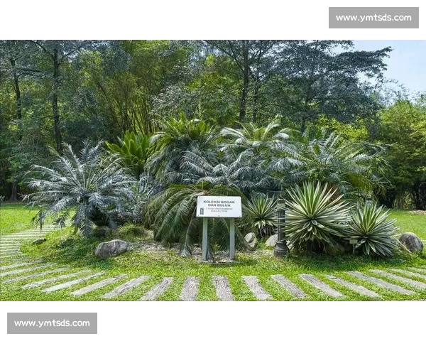 金杯赛非洲独苗：南非 2005 年的跨洋之旅